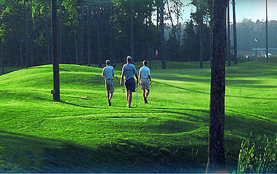 a threesome on the golf course